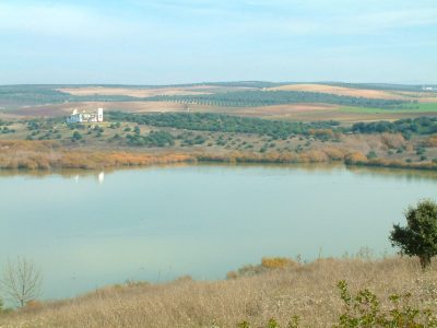 Laguna De Tíscar