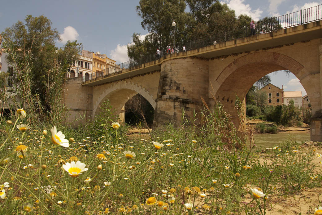 Puente Sobre el Genil